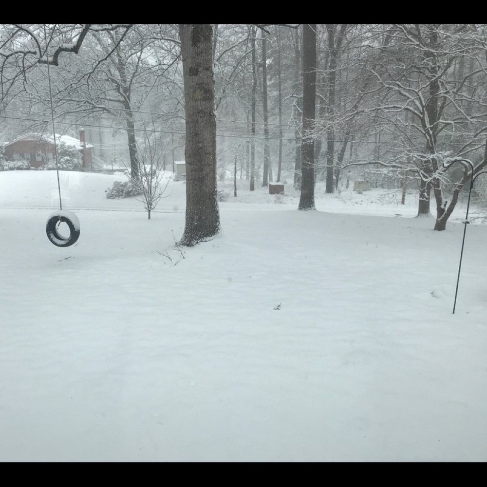 Meet your Posher, Donna